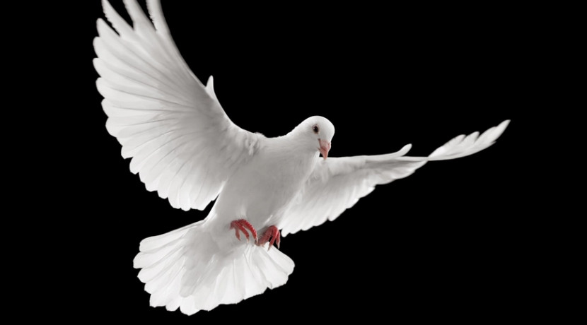 The Armed Man: A Mass for Peace