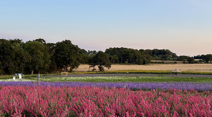 Shropshire’s biggest flower event gets ready to open
