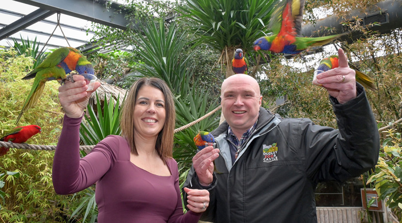 The Festival of Change launches at Dudley Zoo and Castle