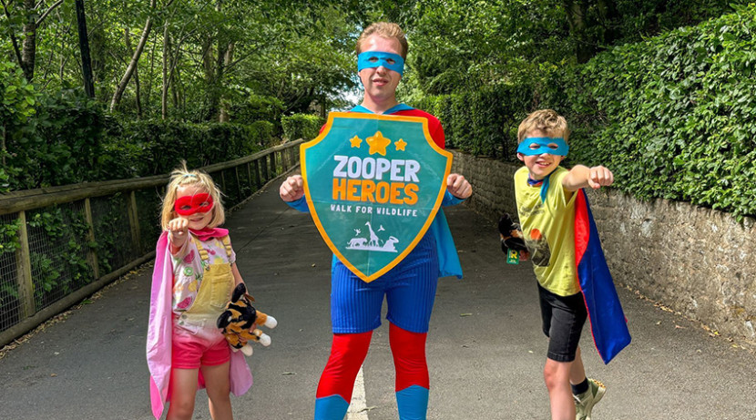 Be a Zooperhero and join Dudley's Zoo sponsored walk