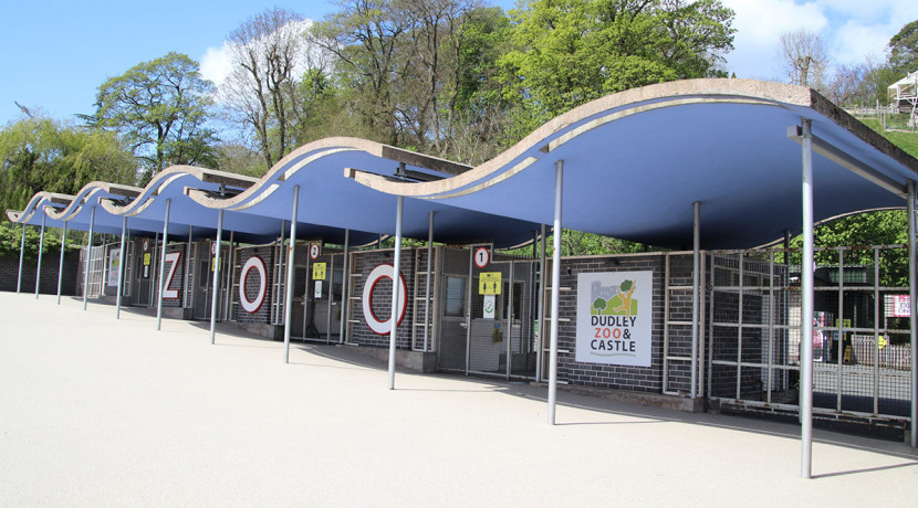 Dudley Zoo offer 100p tickets for Sir David Attenborough’s centenary birthday