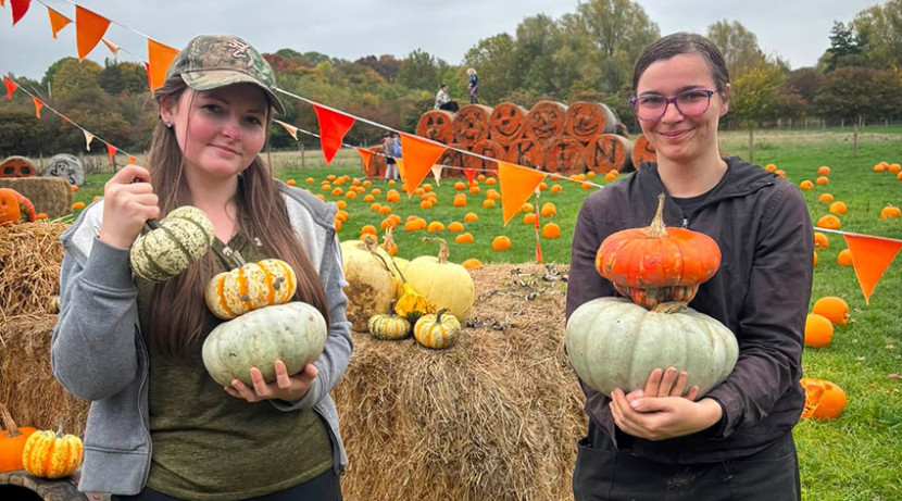 Pumpkin picking returns to Forge Mill Farm this October