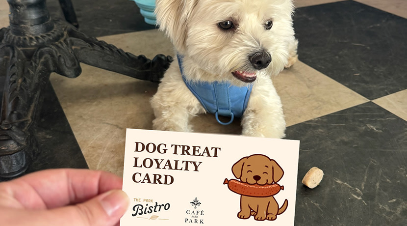 Dog loyalty cards launched at Coventry cafes