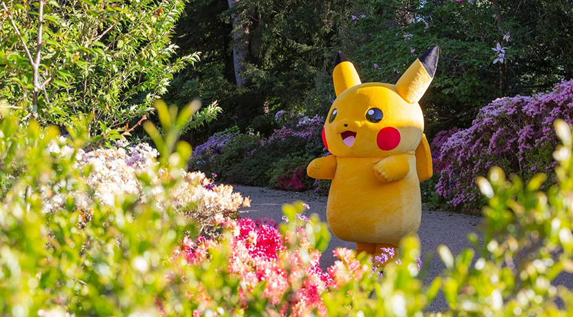 Pokémon Mega Evolution Trail comes to Attingham Park