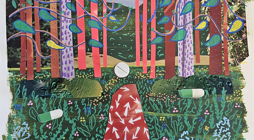 Shrewsbury Museum launches new Rooted in Recovery exhibition