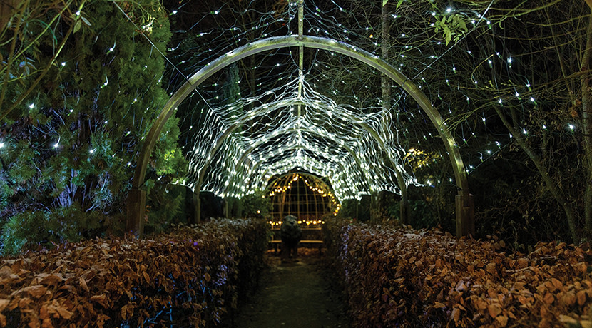 Festive gardens set to light up Telford Town Park