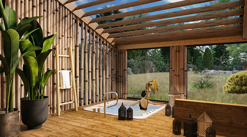 Bookings open for new Tiger Lodge stays at West Midland Safari Park