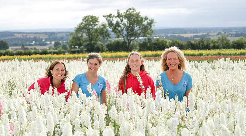 Proms and pop events launch ahead of Shropshire Petal Fields