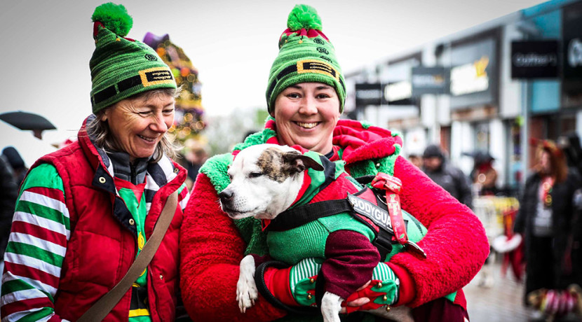 The Valley Christmas Dog Parade is back for 2023