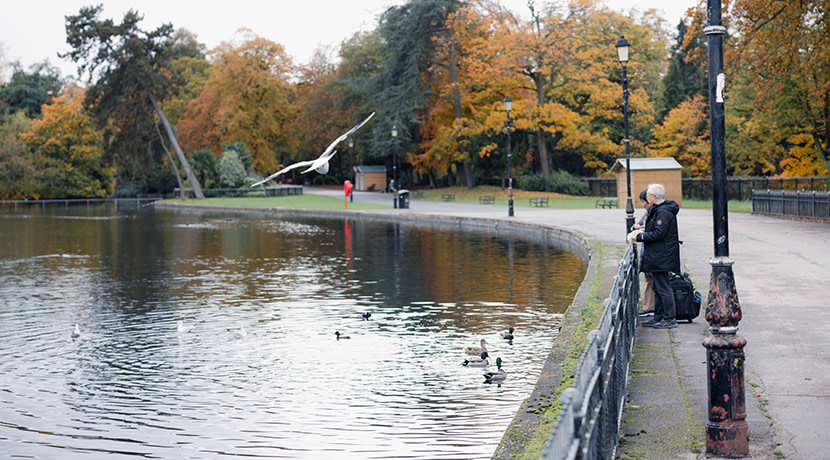 Community month of action to reconnect people with nature