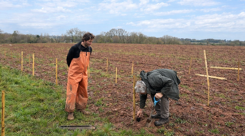 Thousands of trees planted to create new woodland near Bridgnorth