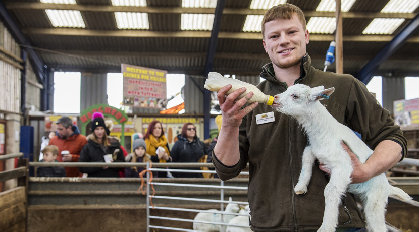 Experience farming and rural life at Staffordshire attraction