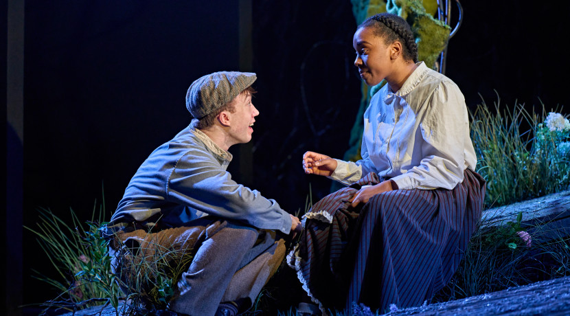 Five stars for Private Peaceful at Birmingham Rep