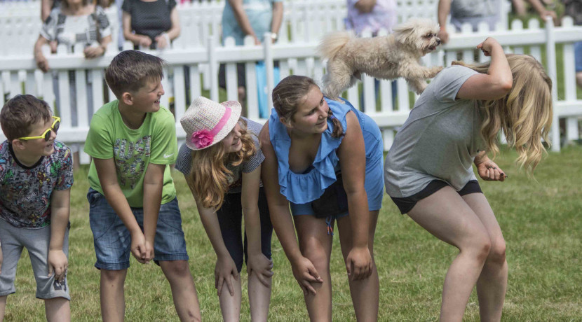 DogFest returns to Ragley Hall