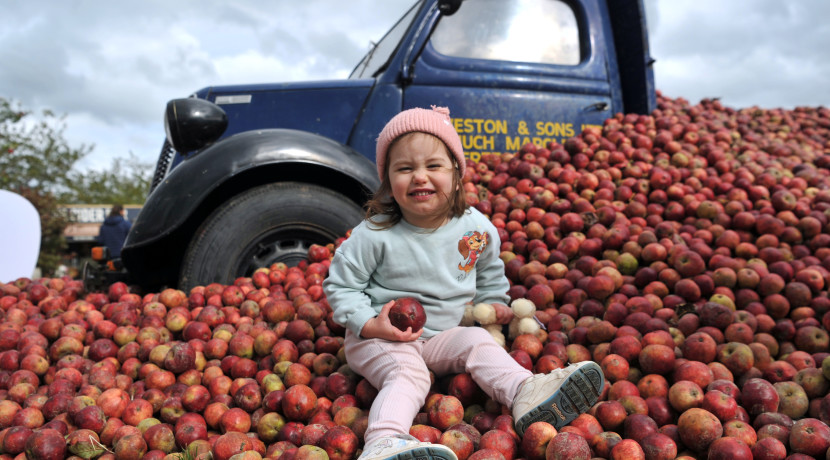 September diary date for Malvern Autumn Show