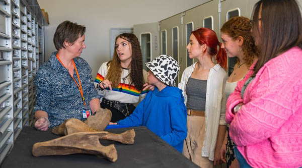 Step Behind the Scenes at Shropshire Museums’ Collections Centre in Ludlow