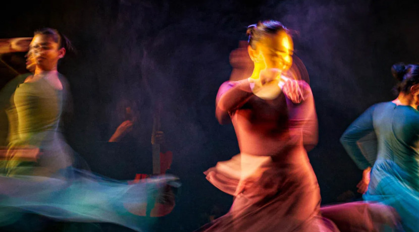 THIS IS DANCE: BIRD by Amina Khayyam