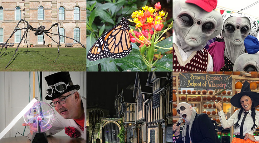Halloween half term in Warwickshire