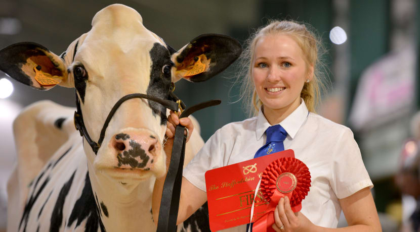 A family ticket to Staffordshire County Show