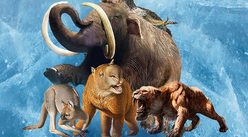 Family ticket to Ice Age: Lost Kingdom