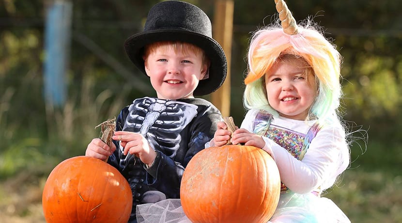 Our Top Halloween Picks From Across The Midlands