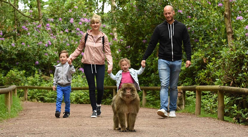 Trentham Monkey Forest