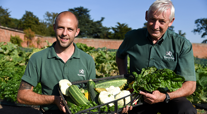 Gardening enthusiasts needed to bring Weston Park's walled garden back to life