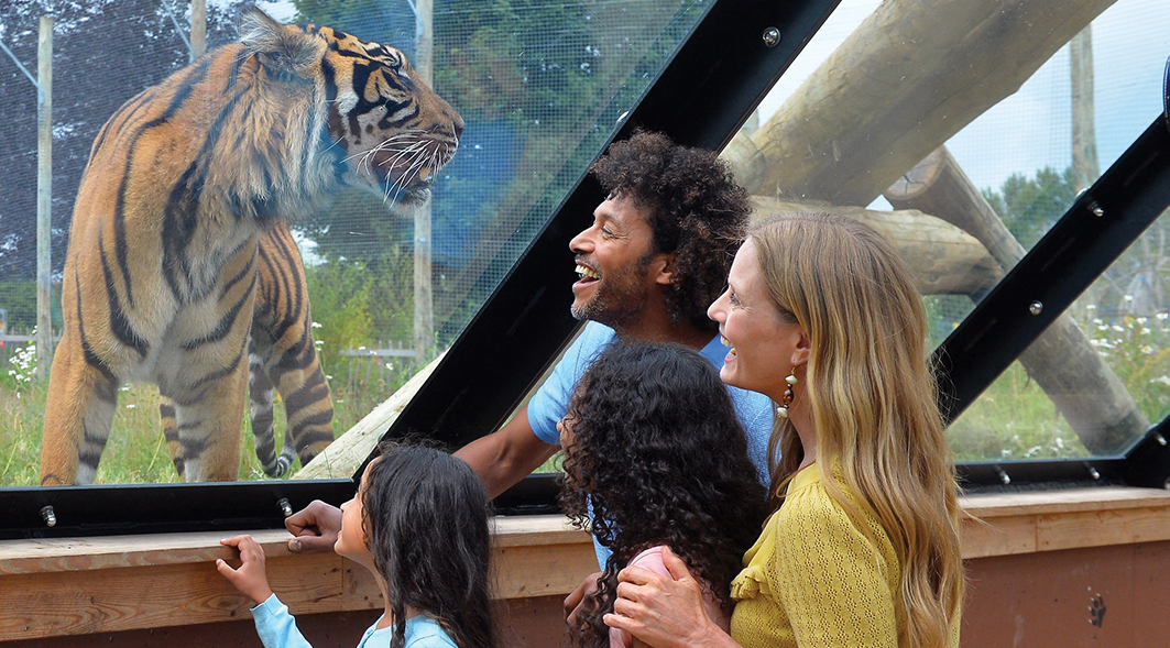Twycross Zoo announce a weekend of Love Your Zoo celebrations