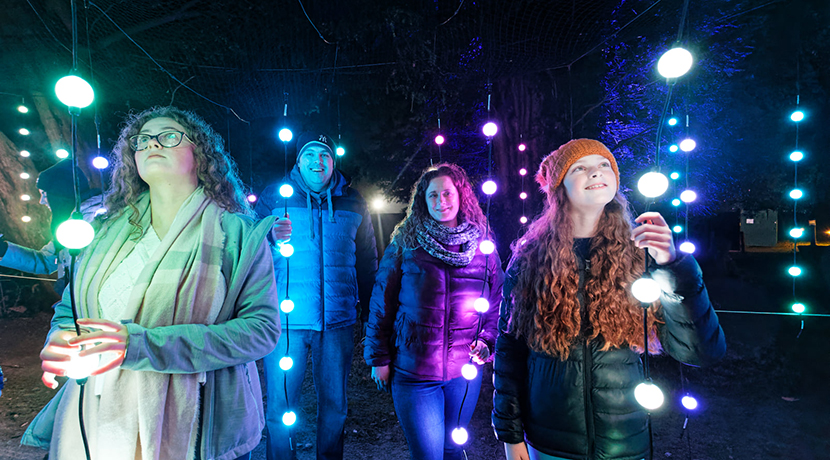 Luminate light trail heads to Shugborough for Christmas