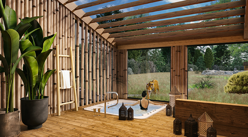 Bookings open for new Tiger Lodge stays at West Midland Safari Park