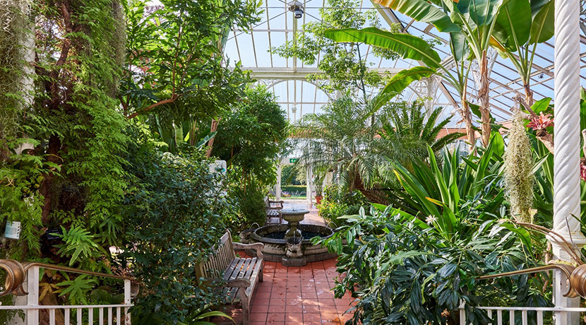 Birmingham Botanical Gardens creates trail for the Games