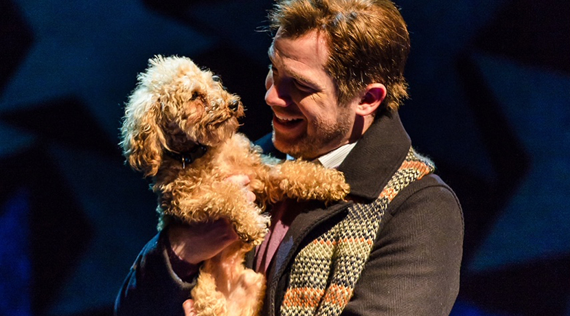 Birmingham Rep search for tail-wagging talent to star in Nativity! The Musical