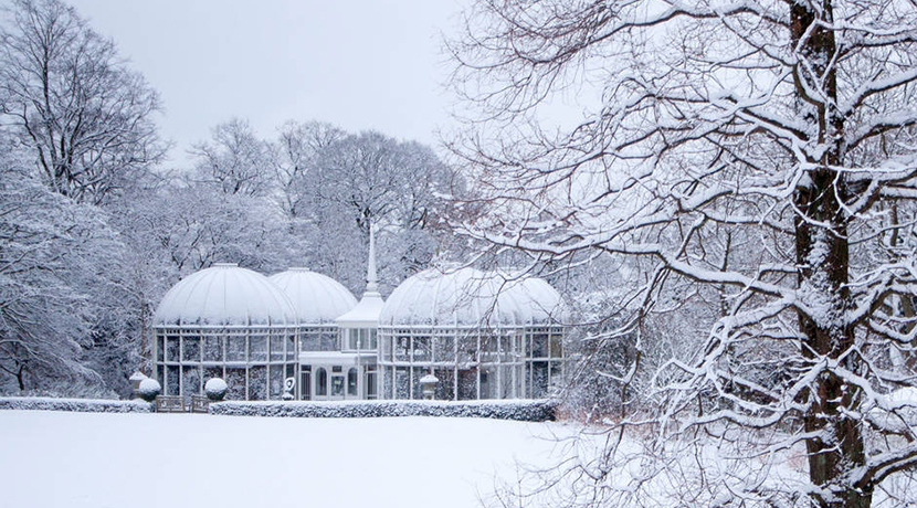 Birmingham Botanical Gardens announces 2022 Christmas parties