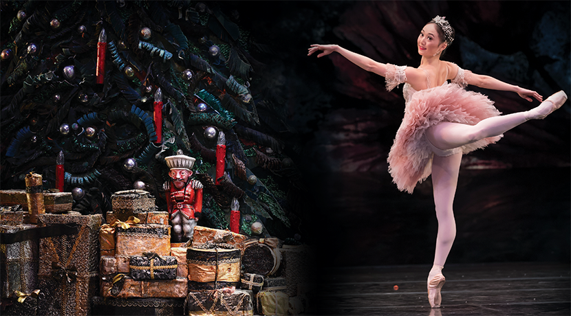 The Nutcracker transformed