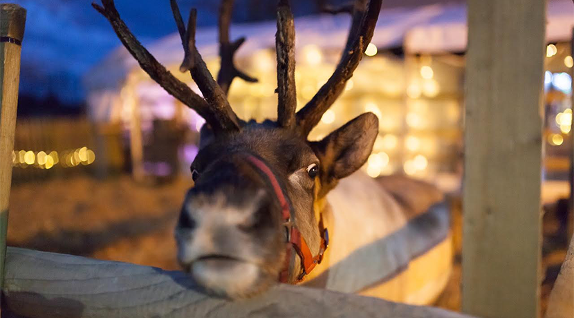 Hatton host brand-new immersive Christmas experience