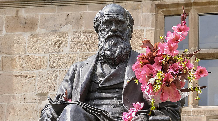 DarwIN Shrewsbury Festival returns this February