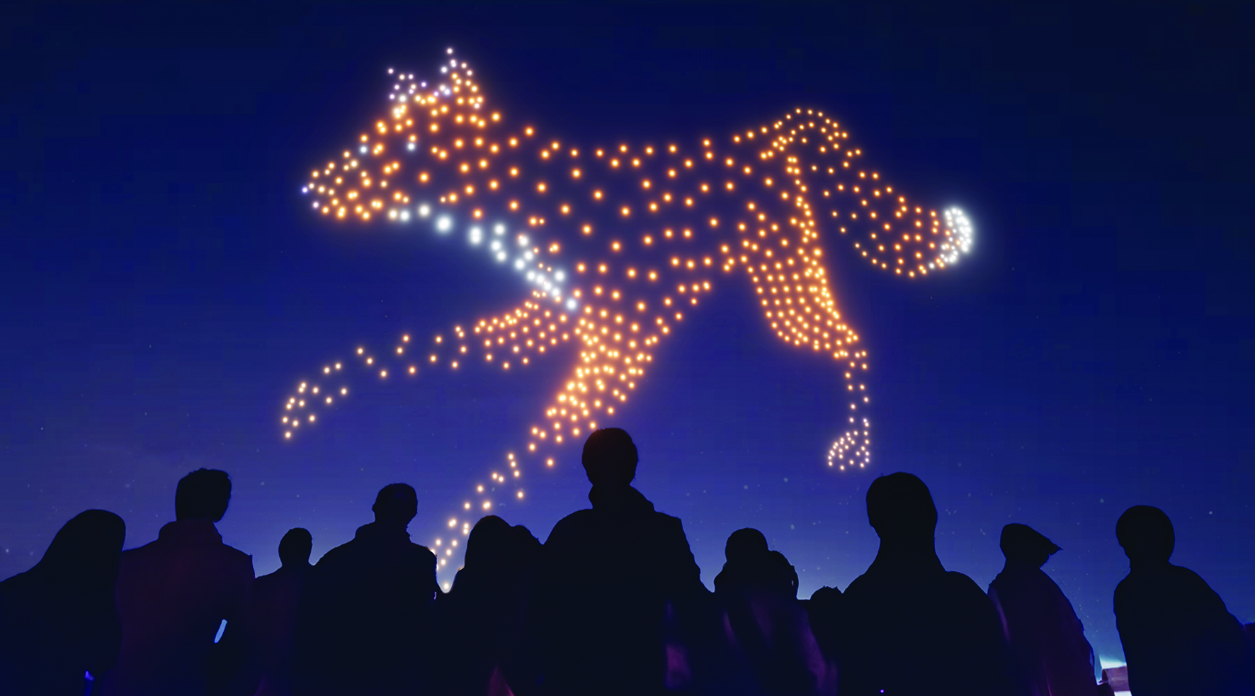 A family ticket to see Evolution drone light show