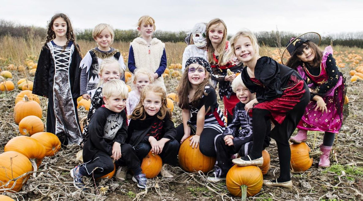 Halloween 2023 Spooktastic events across Staffordshire