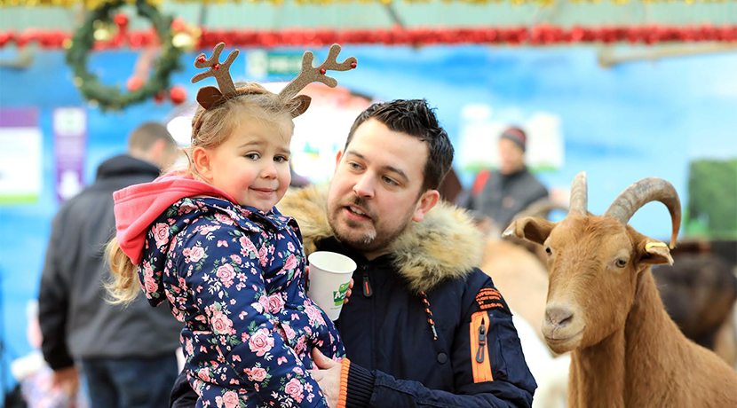 Hatton Country World pulls out all the stops this Christmas