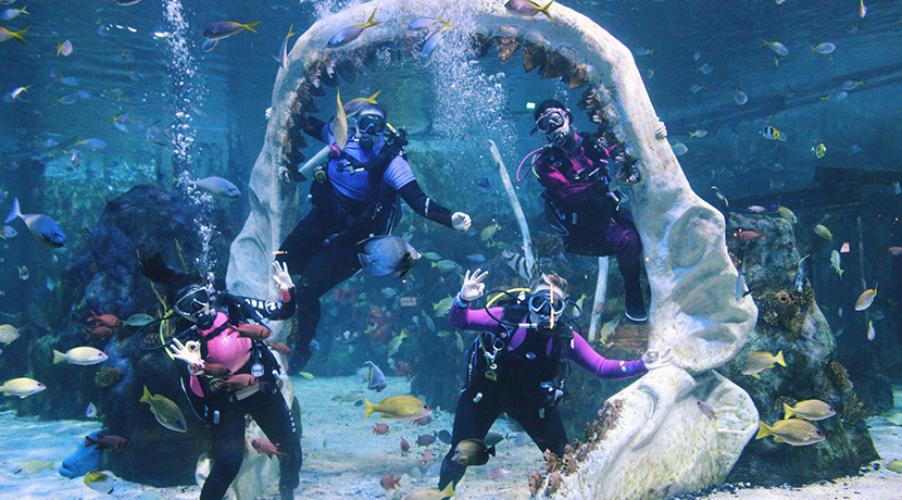 Win a snorkelling adventure for two at Bear Grylls Adventure