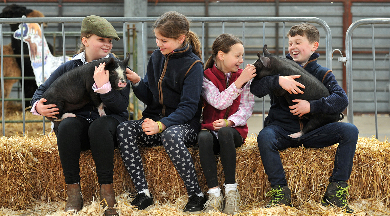 Countrytastic for kids at Three Counties Showground