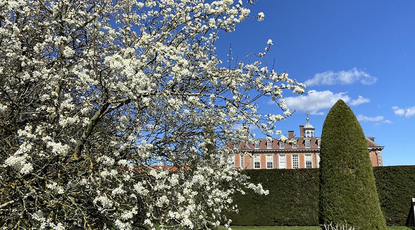 Hanbury Hall goes into full bloom this April