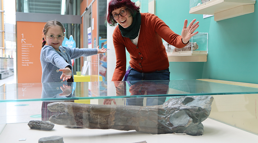 Herbert Art Gallery's prized Ichthyosaur skull named by six-year-old