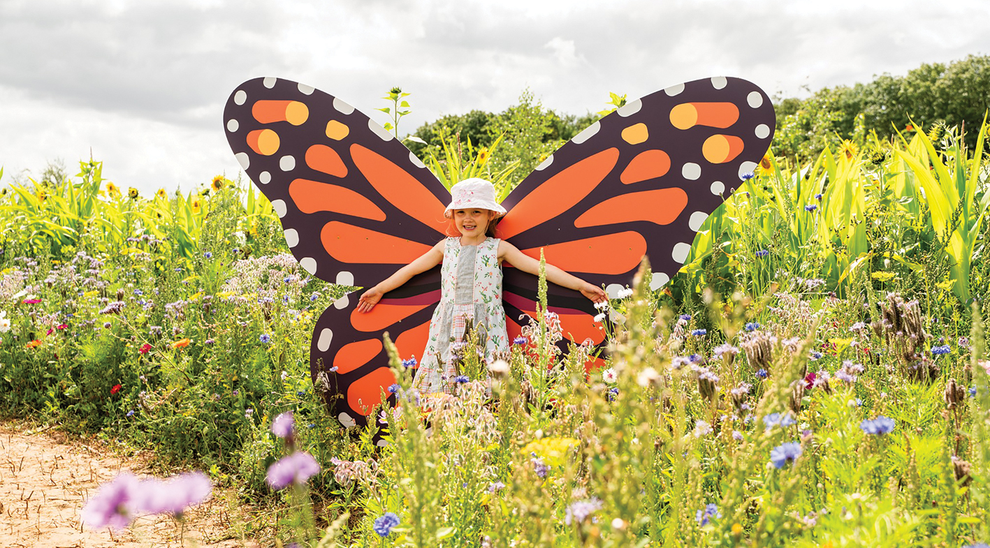 Cotswold Flower Festival