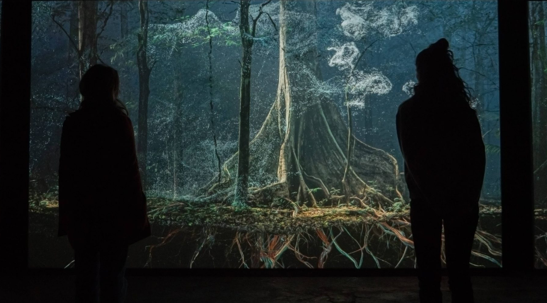 Breathing With The Forest