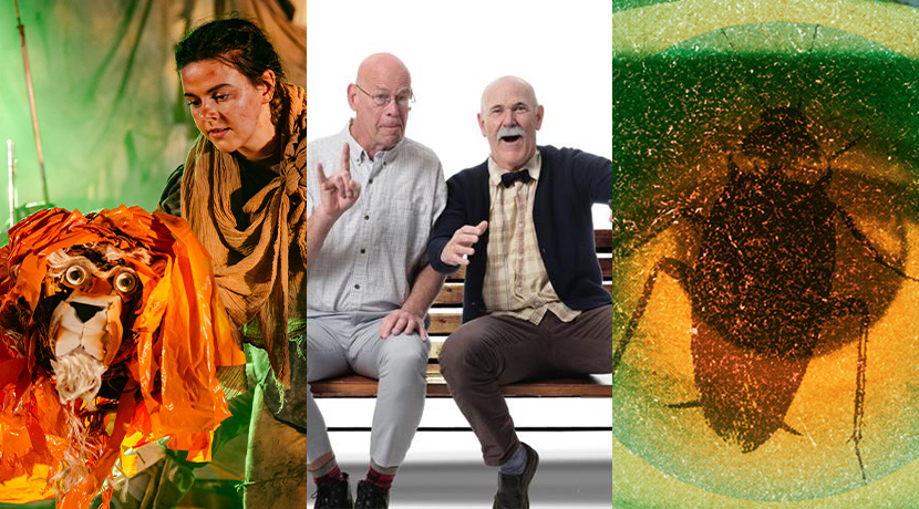 Pay What You Can theatre returns to Newhampton Arts Centre