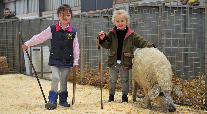 CountryTastic for kids at Three Counties Showground