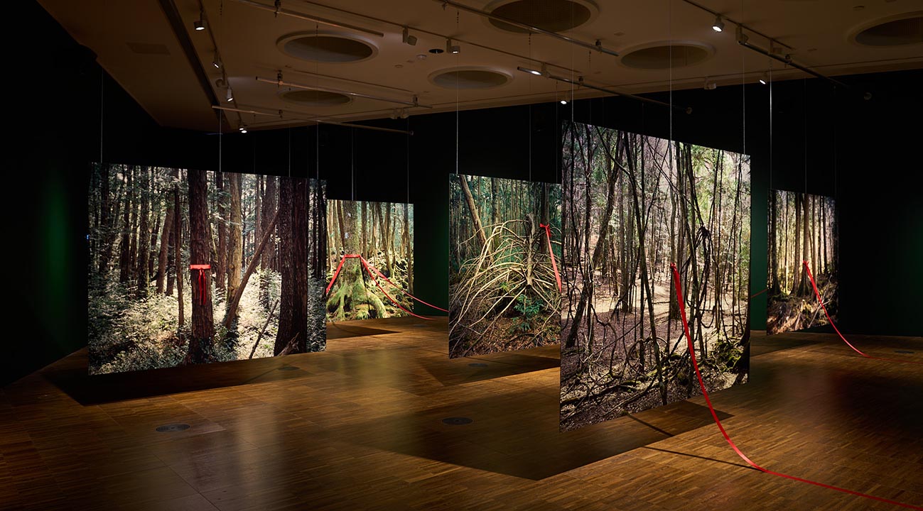 Hrair Sarkissian brings solo exhibition to Wolverhampton Art Gallery