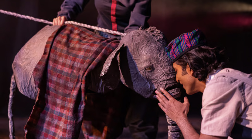 The Vanishing Elephant