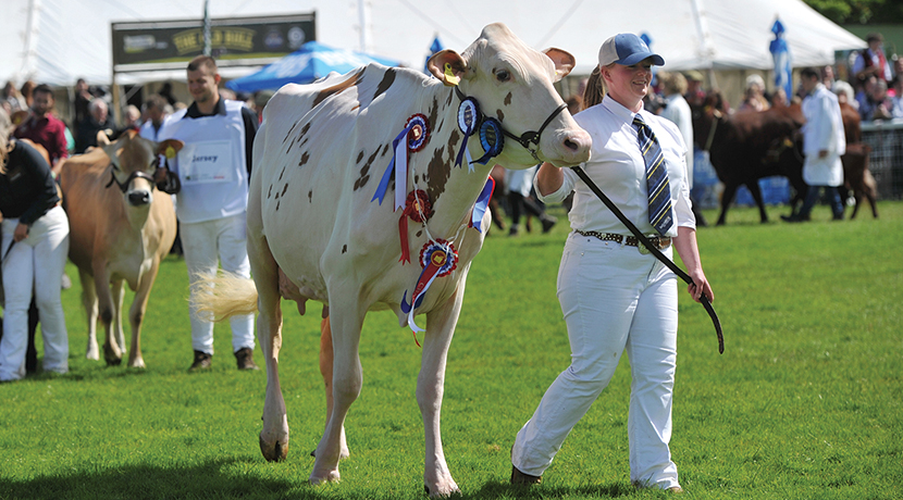 Royal Three Counties Show